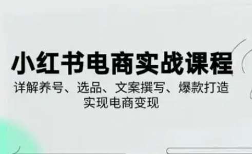 小红书从0-1实操课(2023-2025)，详解养号、选品、文案撰写、爆款打造实现电商变现网赚项目-副业赚钱-互联网创业-独家轻创IP星泽云创