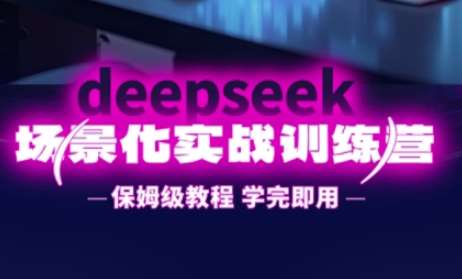 DeepSeek场景化实战训练营，保姆级教程，学完即用，手把手教你用DeepSeek提升效率网赚项目-副业赚钱-互联网创业-独家轻创IP星泽云创