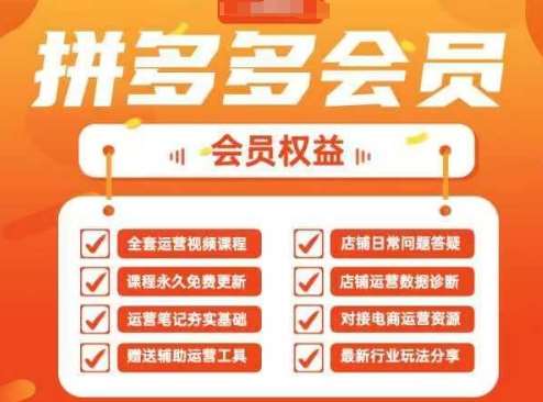 2025拼多多运营实战课，40节全流程教学，覆盖拼多多运营全链路网赚项目-副业赚钱-互联网创业-独家轻创IP星泽云创