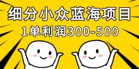 细分小众蓝海项目，一单利润3张，每月收入稳定过1w+网赚项目-副业赚钱-互联网创业-独家轻创IP星泽云创
