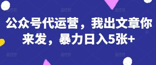 公众号代运营，我出文章你来发，暴力日入5张+【揭秘】网赚项目-副业赚钱-互联网创业-独家轻创IP星泽云创