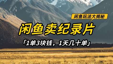 闲鱼卖纪录片1单3块钱，1天几十单，项目稳定有潜力网赚项目-副业赚钱-互联网创业-独家轻创IP星泽云创