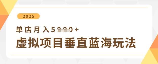 虚拟项目垂直玩法，实现单店月入5k+网赚项目-副业赚钱-互联网创业-独家轻创IP星泽云创