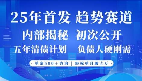2025年首次公开，真正的事业型赛道，客咨不断，单月轻松破W网赚项目-副业赚钱-互联网创业-独家轻创IP星泽云创