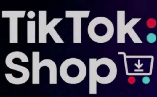 TikTokShop跨境电商0-1实战，手把手教你低成本启动海外市场网赚项目-副业赚钱-互联网创业-独家轻创IP星泽云创