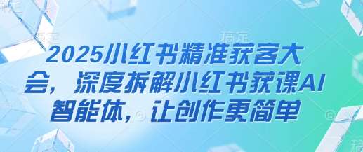 2025小红书精准获客大会，深度拆解小红书获课AI智能体，让创作更简单网赚项目-副业赚钱-互联网创业-独家轻创IP星泽云创