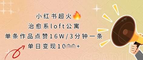 小红书超火的治愈系loft公寓，单条作品点赞16W，3分钟一条，单日变现数张网赚项目-副业赚钱-互联网创业-独家轻创IP星泽云创