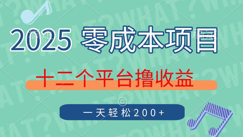 （14302期）2025年零成本项目，十二个平台撸收益，单号一天轻松200+网赚项目-副业赚钱-互联网创业-独家轻创IP星泽云创