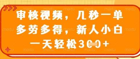 最新审核视频，几秒一单，多劳多得，新人小白一天轻松3张【揭秘】网赚项目-副业赚钱-互联网创业-独家轻创IP星泽云创