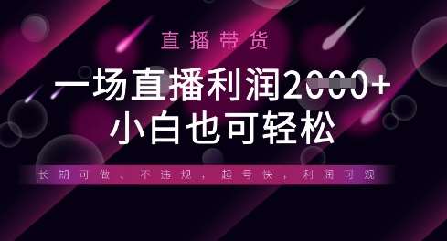 半无人直播带货，一场利润数张，适合所有平台玩法，小白也可轻松网赚项目-副业赚钱-互联网创业-独家轻创IP星泽云创