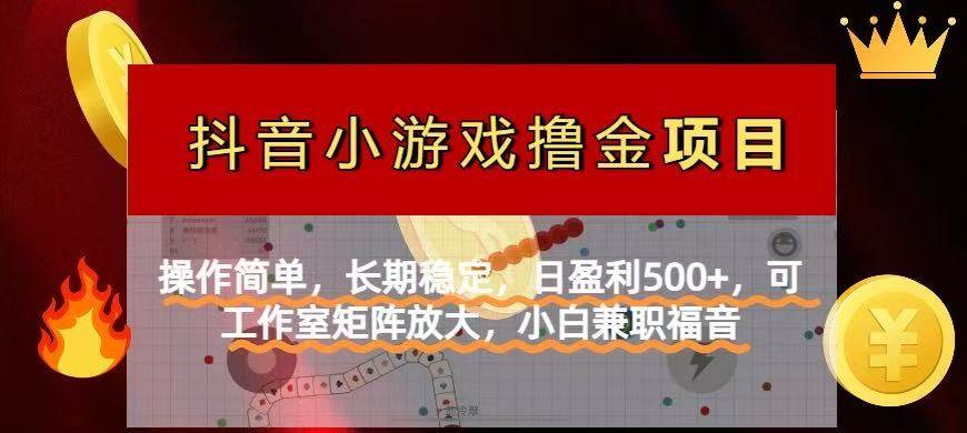 （14290期）【抖音小游戏发行人计划项目】操作简单，长期稳定，日盈利500+，可工作…网赚项目-副业赚钱-互联网创业-独家轻创IP星泽云创