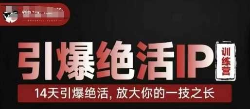 引爆绝活IP训练营，14天引爆绝活，放大你的一技之长网赚项目-副业赚钱-互联网创业-独家轻创IP星泽云创