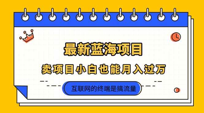 （14289期）2025年最新蓝海项目，卖项目小白也能月入过万网赚项目-副业赚钱-互联网创业-独家轻创IP星泽云创