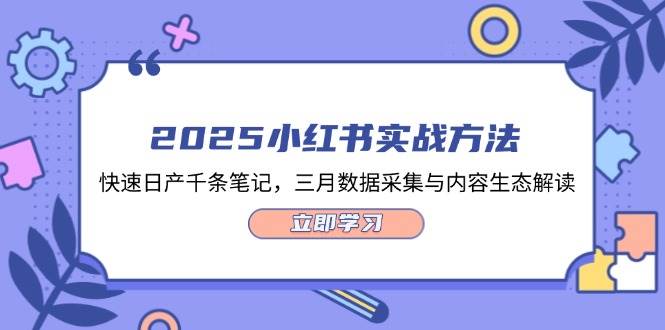 （14347期）2025小红书实战方法，快速日产千条笔记，三月数据采集与内容生态解读网赚项目-副业赚钱-互联网创业-独家轻创IP星泽云创