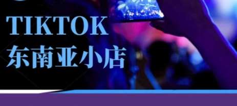 Tiktok东南亚跨境小店运营班，一门专业的TK小店运营培训课网赚项目-副业赚钱-互联网创业-独家轻创IP星泽云创