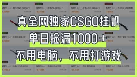 真全网独家CSGO挂G，单日捡漏1k+【揭秘】网赚项目-副业赚钱-互联网创业-独家轻创IP星泽云创