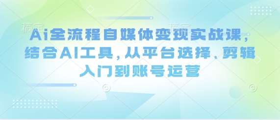 Ai全流程自媒体变现实战课，结合AI工具，从平台选择、剪辑入门到账号运营网赚项目-副业赚钱-互联网创业-独家轻创IP星泽云创