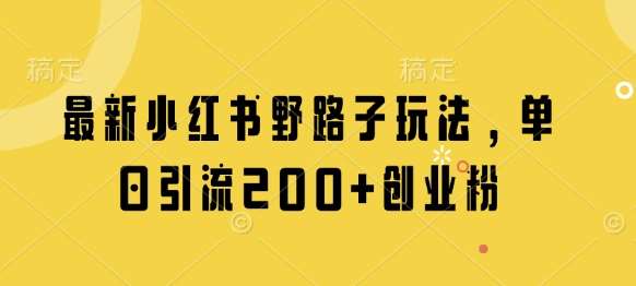 最新小红书野路子玩法，单日引流200+创业粉网赚项目-副业赚钱-互联网创业-独家轻创IP星泽云创