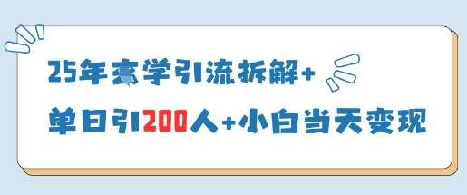 25年国学引流拆解+单日引200人+小白当天就能变现网赚项目-副业赚钱-互联网创业-独家轻创IP星泽云创
