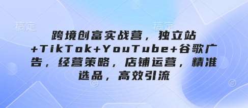 跨境创富实战营，独立站+TikTok+YouTube+谷歌广告，经营策略，店铺运营，精准选品，高效引流网赚项目-副业赚钱-互联网创业-独家轻创IP星泽云创