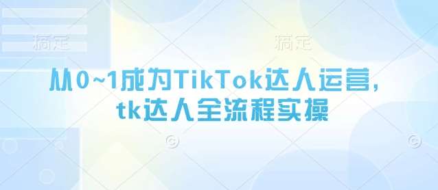 从0~1成为TikTok达人运营，tk达人全流程实操网赚项目-副业赚钱-互联网创业-独家轻创IP星泽云创