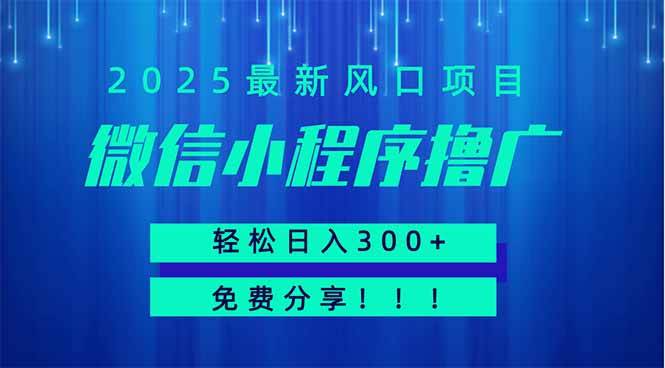 （14375期）微信小程序撸广，最新风口项目，日入300+ 免费分享 可批量操作 小白可…网赚项目-副业赚钱-互联网创业-独家轻创IP星泽云创