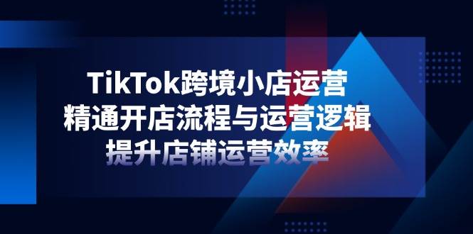 （14369期）TikTok跨境小店运营，精通开店流程与运营逻辑，提升店铺运营效率网赚项目-副业赚钱-互联网创业-独家轻创IP星泽云创