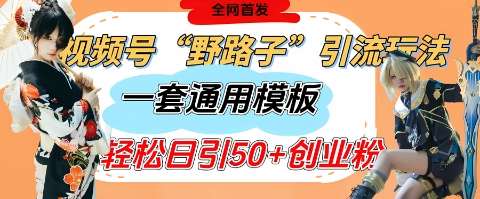视频号“野路子”玩法，评论区疯狂截流，一套模板单日单号引流50+创业粉网赚项目-副业赚钱-互联网创业-独家轻创IP星泽云创