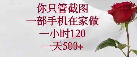 你只管截图，一部手机在家做，苹果安卓都可以，一小时120，一天5张+【揭秘】网赚项目-副业赚钱-互联网创业-独家轻创IP星泽云创