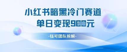 小红书冷门”暗黑”赛道，单日收益多张网赚项目-副业赚钱-互联网创业-独家轻创IP星泽云创