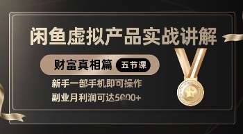 精品！闲鱼虚拟产品实战讲解，新手一部手机即可操作，副业月利润可达5k+网赚项目-副业赚钱-互联网创业-独家轻创IP星泽云创