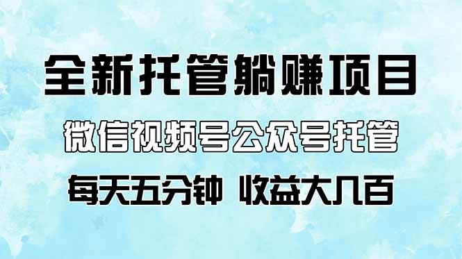 （14425期）全新托管躺赚项目，微信视频号公众号托管代运营，每天五分钟，收益大几百网赚项目-副业赚钱-互联网创业-独家轻创IP星泽云创