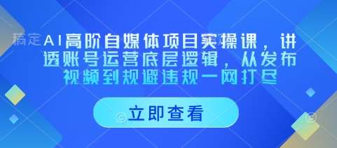 AI高阶自媒体项目实操课，讲透账号运营底层逻辑，从发布视频到规避违规一网打尽网赚项目-副业赚钱-互联网创业-独家轻创IP星泽云创