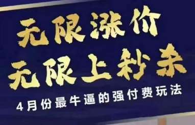 4月12号拼多多线上课，无限涨价，无限上秒杀，4月份最牛逼的强付费玩法网赚项目-副业赚钱-互联网创业-独家轻创IP星泽云创