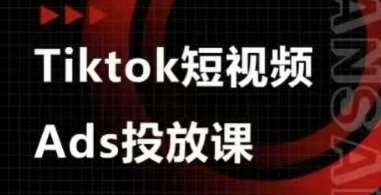 Ads视频投放课，tiktok短视频广告投放课网赚项目-副业赚钱-互联网创业-独家轻创IP星泽云创