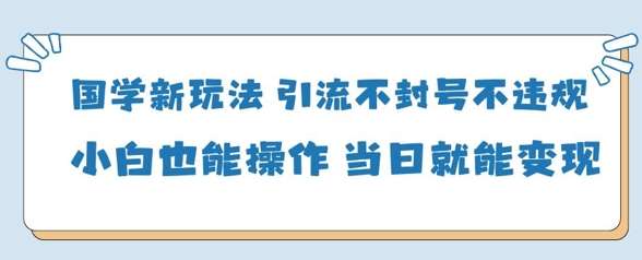 国学新玩法，引流不封号不违规小白也能操作，当日就能变现网赚项目-副业赚钱-互联网创业-独家轻创IP星泽云创