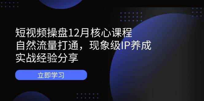 （14447期）短视频操盘12月核心课程：自然流量打通，现象级IP养成，实战经验分享网赚项目-副业赚钱-互联网创业-独家轻创IP星泽云创