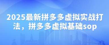 2025最新拼多多虚拟实战打法，拼多多虚拟基础sop网赚项目-副业赚钱-互联网创业-独家轻创IP星泽云创