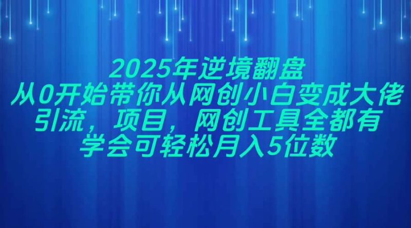 （14473期）2025年逆境翻盘，从0开始带你从网创小白变成大佬，引流，项目，网创工…网赚项目-副业赚钱-互联网创业-独家轻创IP星泽云创