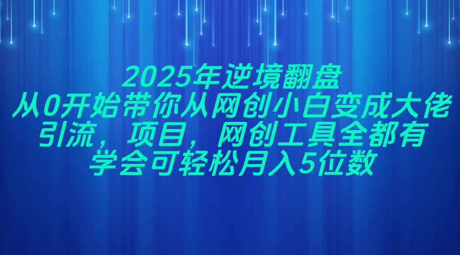 （14473期）2025年逆境翻盘，从0开始带你从网创小白变成大佬，引流，项目，网创工…网赚项目-副业赚钱-互联网创业-独家轻创IP星泽云创