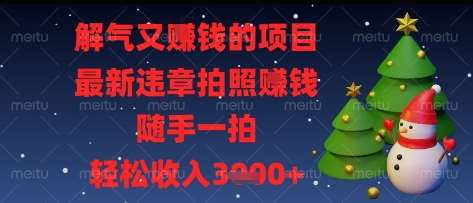 解气又挣钱的项目，最新违章拍照挣钱，随手一拍，轻松收入多张【揭秘】网赚项目-副业赚钱-互联网创业-独家轻创IP星泽云创