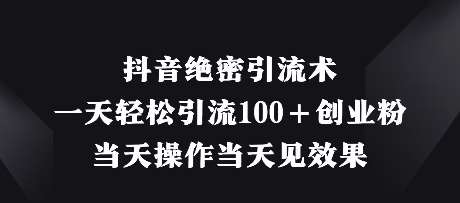 抖音绝密引流术，一天轻松引流100+创业粉，当天操作当天见效果网赚项目-副业赚钱-互联网创业-独家轻创IP星泽云创