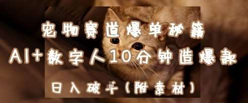 宠物赛道爆单秘籍：AI+数字人10分钟造爆款，日入1k网赚项目-副业赚钱-互联网创业-独家轻创IP星泽云创