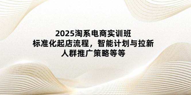（14522期）2025淘系电商实训班：标准化起店流程，智能计划与拉新，人群推广策略等等网赚项目-副业赚钱-互联网创业-独家轻创IP星泽云创