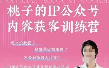 桃子IP公众号内容获客训练营(第3期)，一门让你公众号从0到商业闭环的课程网赚项目-副业赚钱-互联网创业-独家轻创IP星泽云创