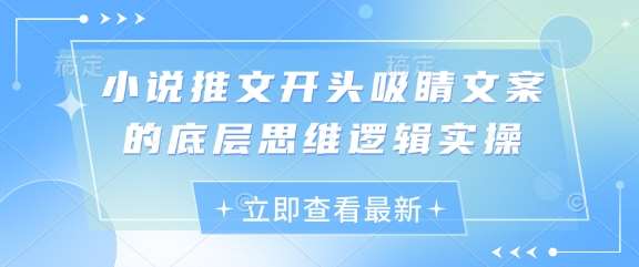 小说推文开头吸睛文案的底层思维逻辑实操网赚项目-副业赚钱-互联网创业-独家轻创IP星泽云创