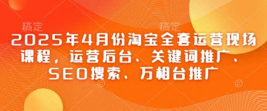 2025年4月份淘宝全套运营现场课程，运营后台、关键词推广、SEO搜索、万相台推广网赚项目-副业赚钱-互联网创业-独家轻创IP星泽云创