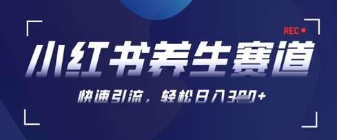 AI+可画生成小红书养生作品，新手暴力起号，矩阵操作，轻松日入3张+网赚项目-副业赚钱-互联网创业-独家轻创IP星泽云创