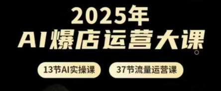 2025年AI爆店运营大课，13节AI实操课+37节流量运营课网赚项目-副业赚钱-互联网创业-独家轻创IP星泽云创