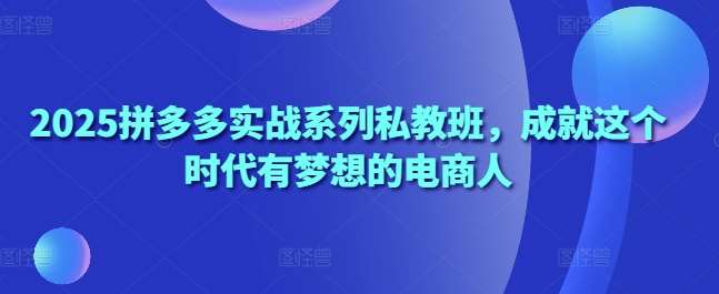 2025拼多多实战系列私教班，成就这个时代有梦想的电商人网赚项目-副业赚钱-互联网创业-独家轻创IP星泽云创
